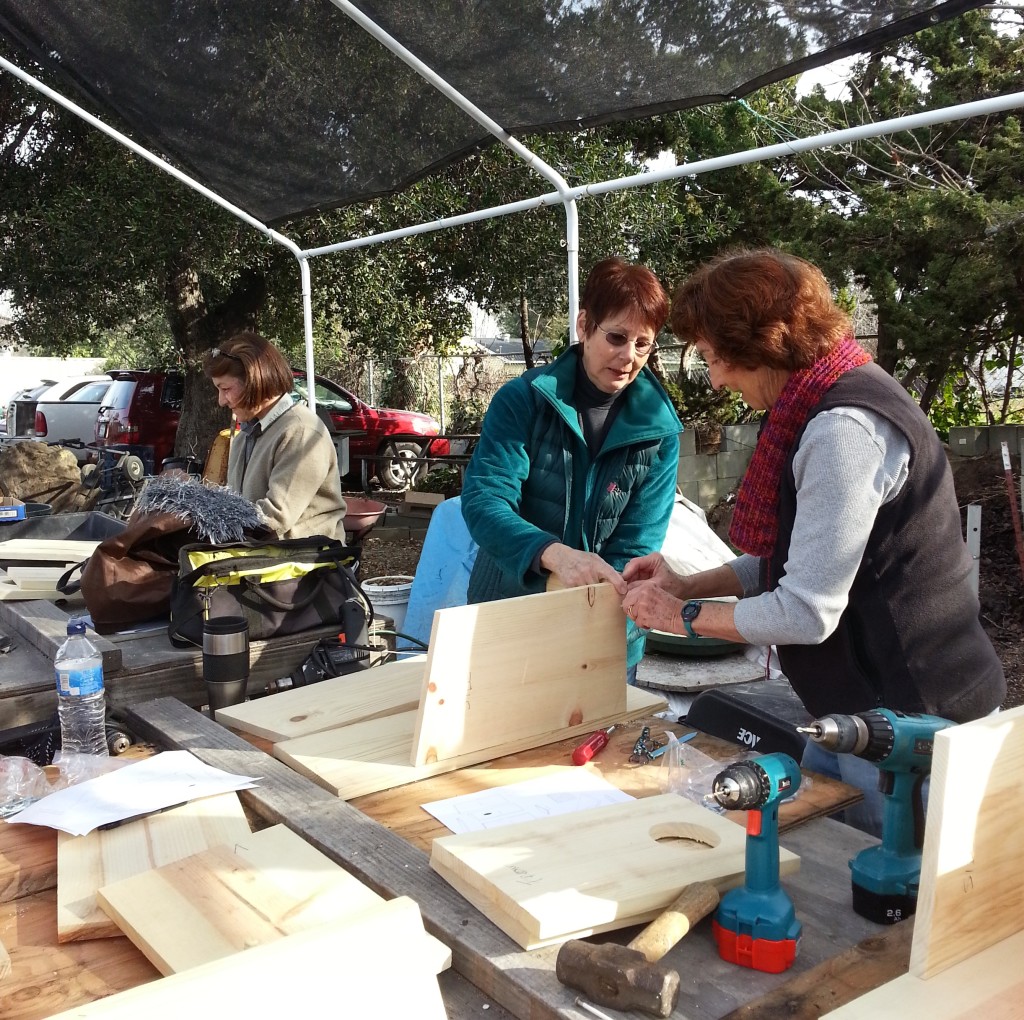 Building a kestrel nesting box